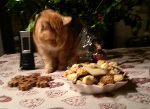 012216_biscuits